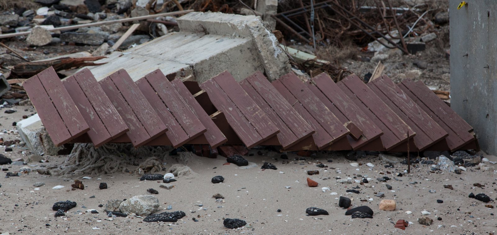 art-of-sandy-mo-seagate 2-26.jpg